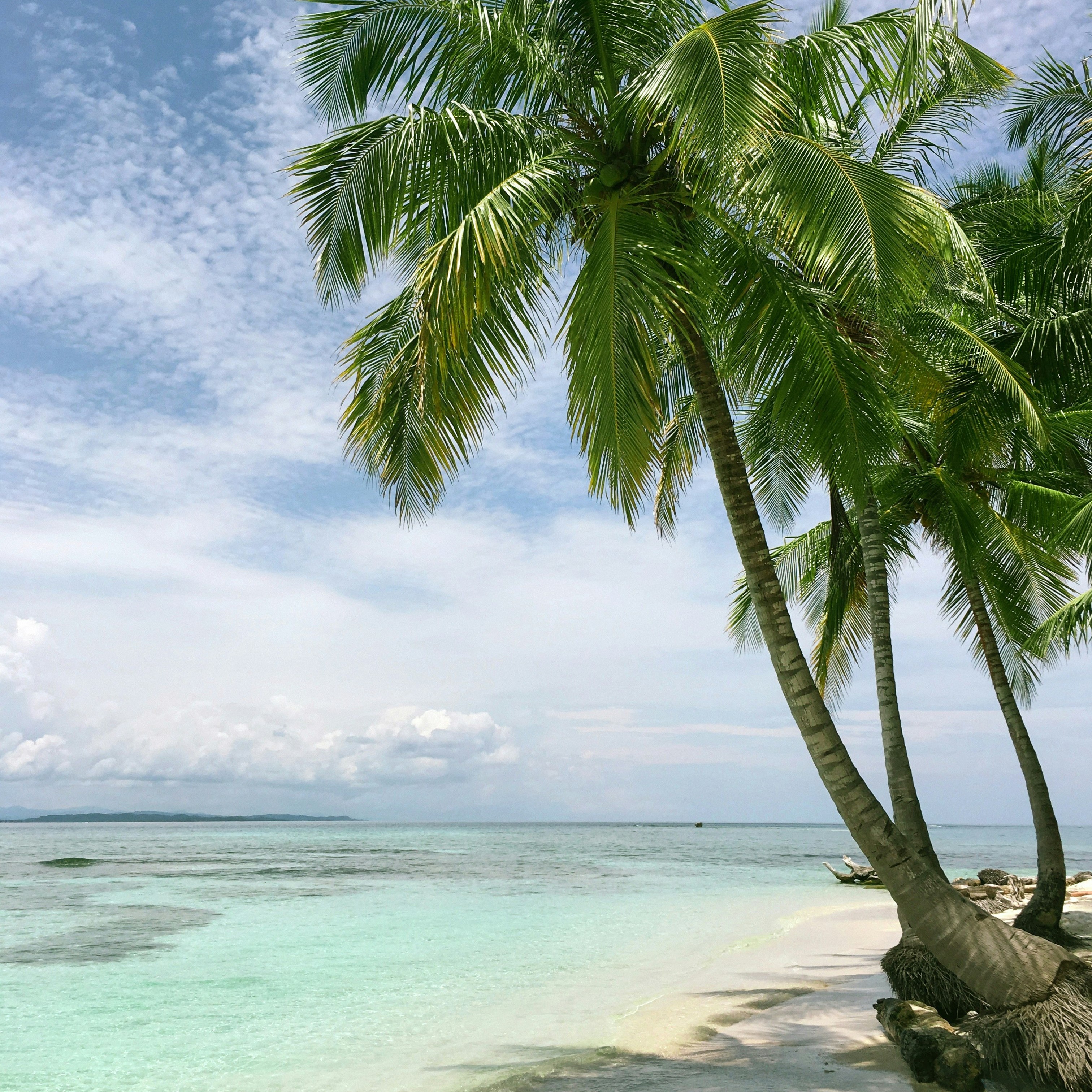 Jamaica
