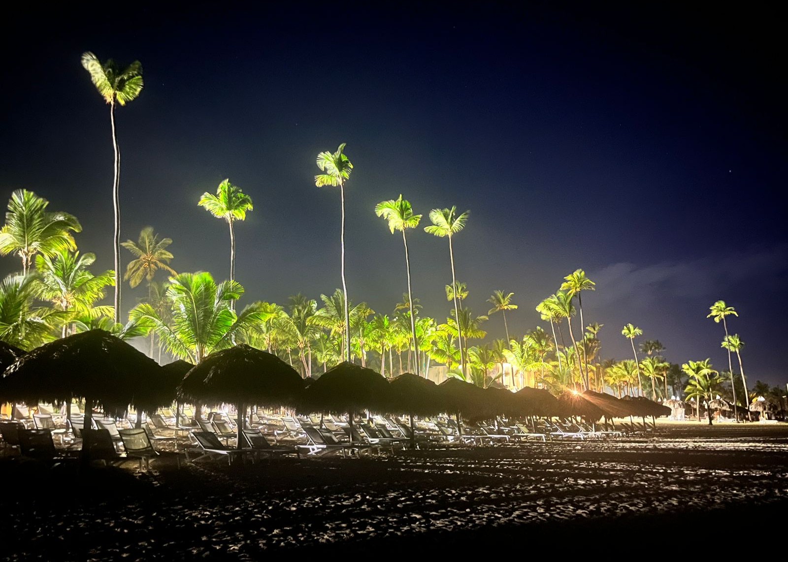 Punta Cana Verano 2027