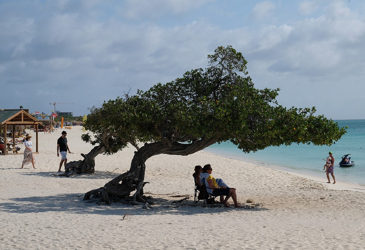Luna de miel en el Caribe: cómo elegir el resort perfecto